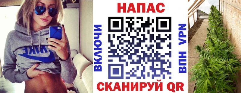 Бошки марихуана MAZAR  Луховицы 